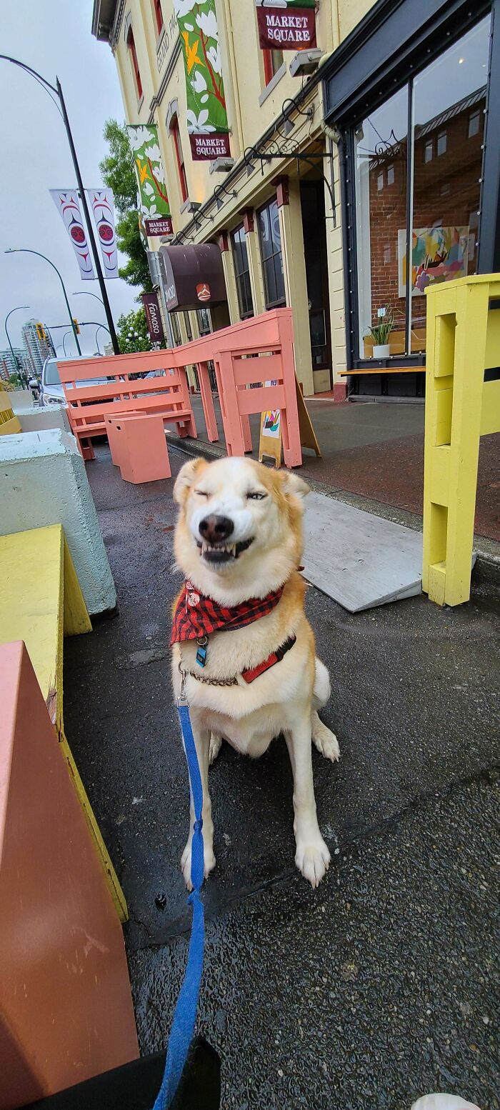 Thor Refuses To Take A Serious Photo. He's Here To Have A Good Time, Not Model