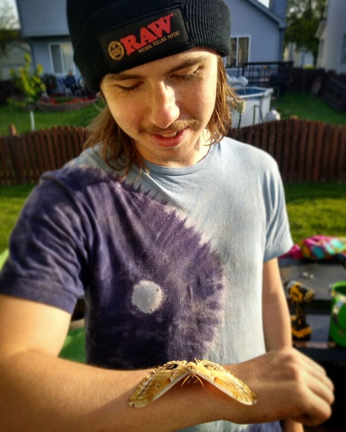 A Moth Landed On My Arm And Was Chillin There Long Enough We Were Able To Snag A Picture