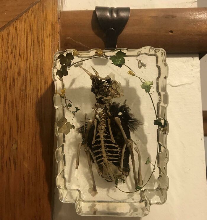 My Friend Found This In The Park And Set It In Resin. This Is The Result