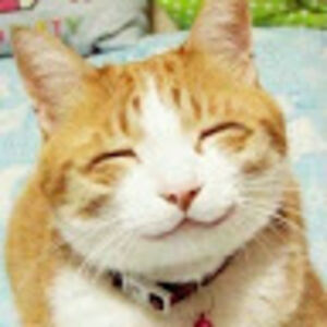 christiemcdermid avatar