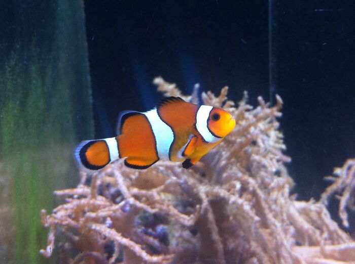 30 Business Decisions That Ended Up Hurting Companies, As Shared In This Online Group