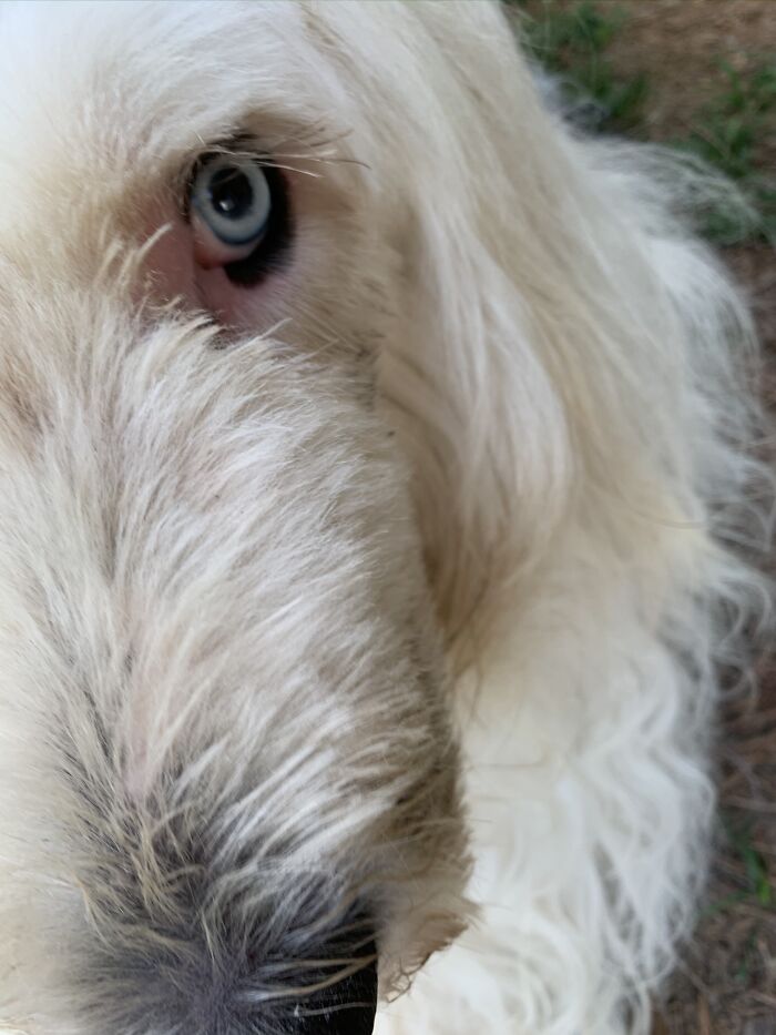 I See You, Into You, Through You! No Secret Is Safe...