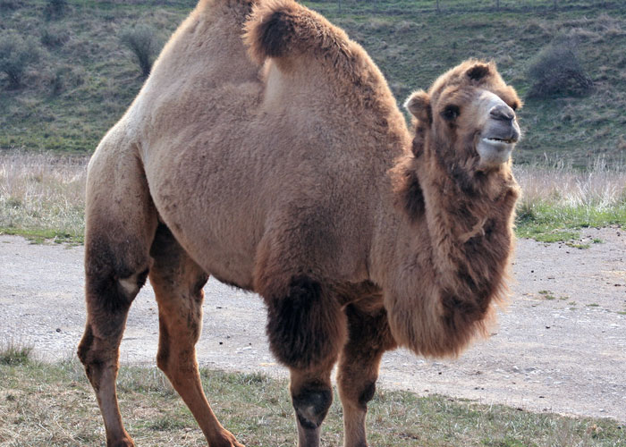 40 Interesting Things People Didn’t Learn At School And Decided To Share Them In This Online Group (New Pics)