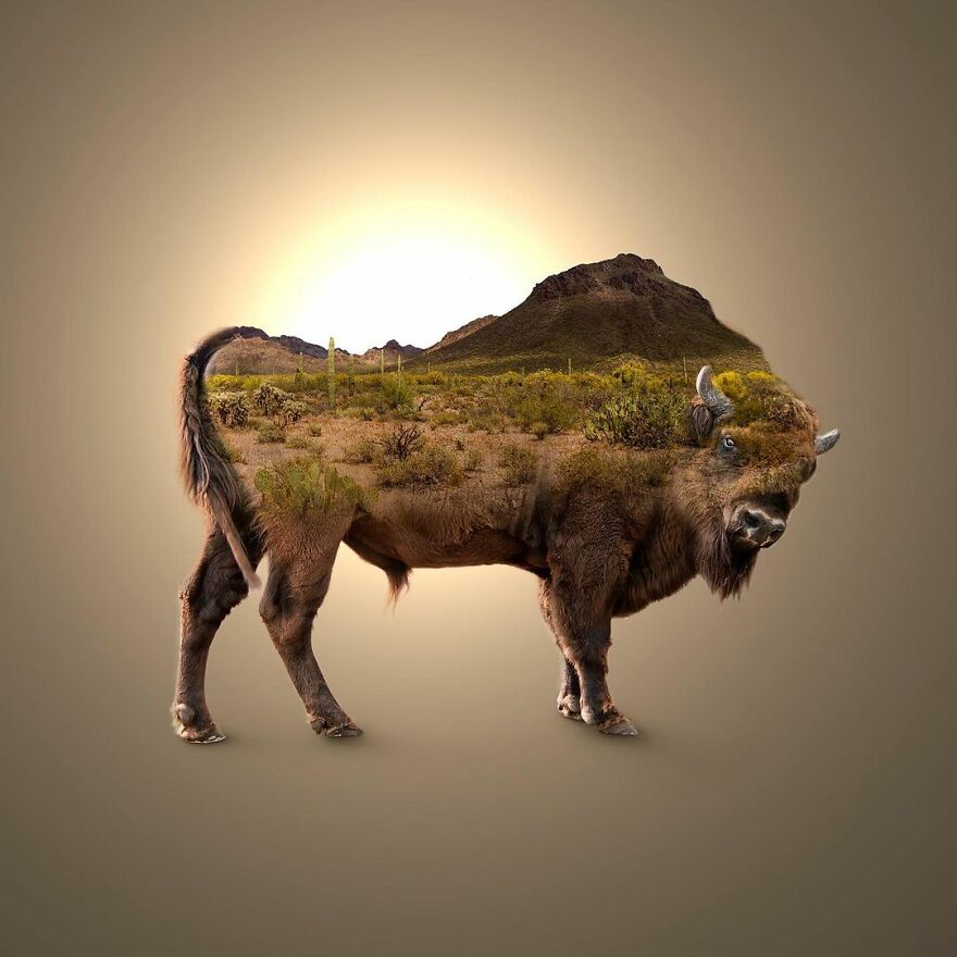 Artist Mixes Animals And Creates The Most Surreal Hybrids You've Ever Seen ( 151 Pics)