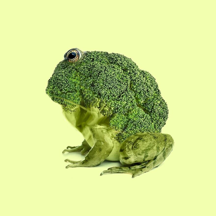 Artist Mixes Animals And Creates The Most Surreal Hybrids You've Ever Seen ( 151 Pics)