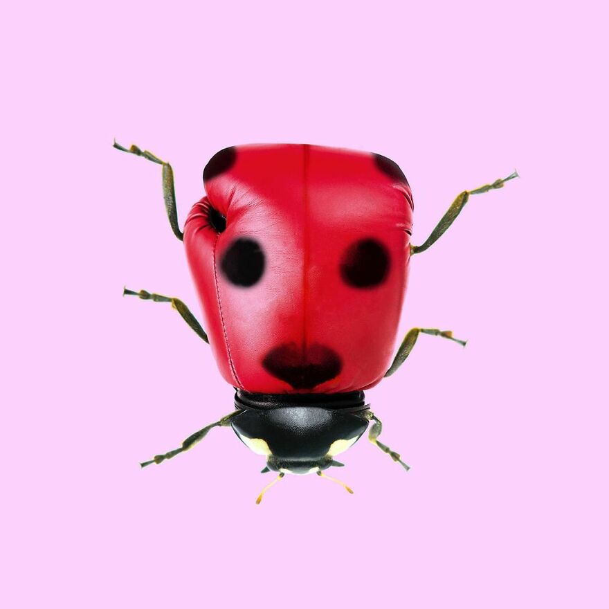 Artist Mixes Animals And Creates The Most Surreal Hybrids You've Ever Seen ( 151 Pics)