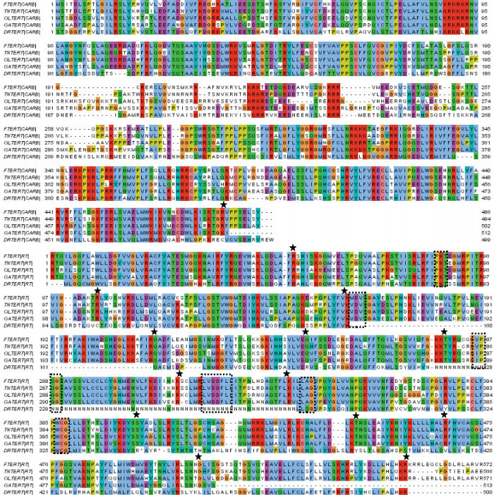 30 People In This Online Group Share Unexpected Features That Make Them 1% Of The Population