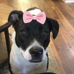 kathrynbowhers avatar