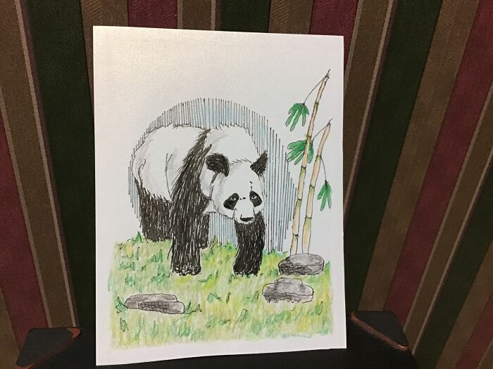 Panda
