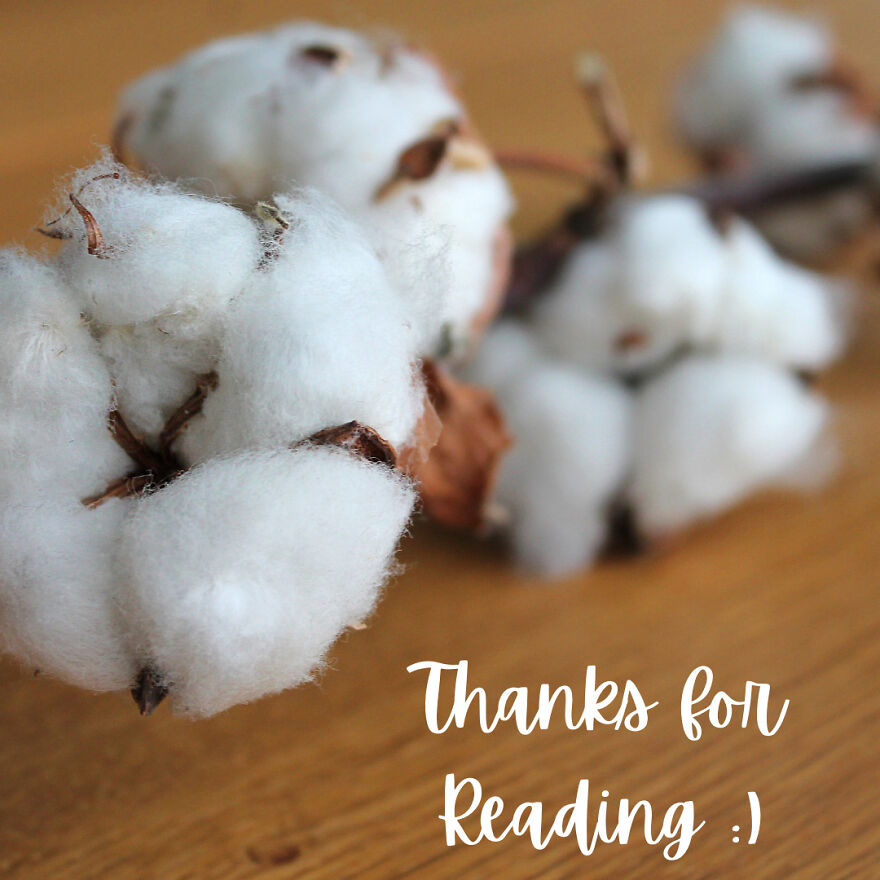 I Was Bored So Benefits Of Different Types Of Tea