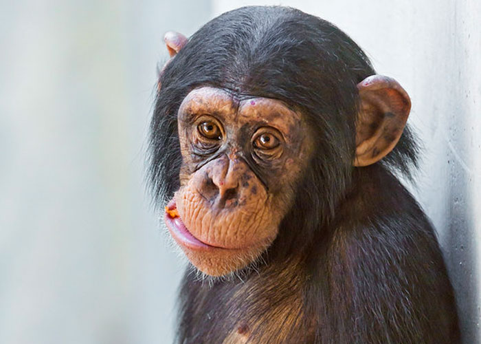 40 Interesting Things People Didn’t Learn At School And Decided To Share Them In This Online Group (New Pics)