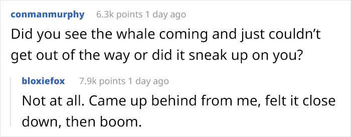 Lobster-Diver-Survive-Swallowed-Whale