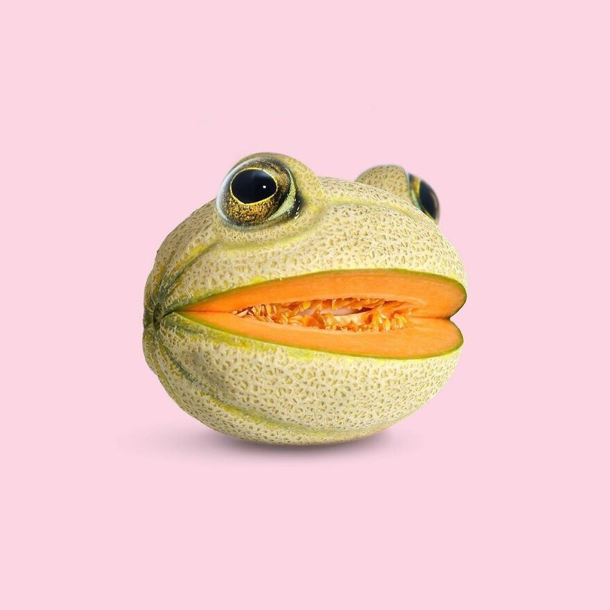 Artist Mixes Animals And Creates The Most Surreal Hybrids You've Ever Seen ( 151 Pics)