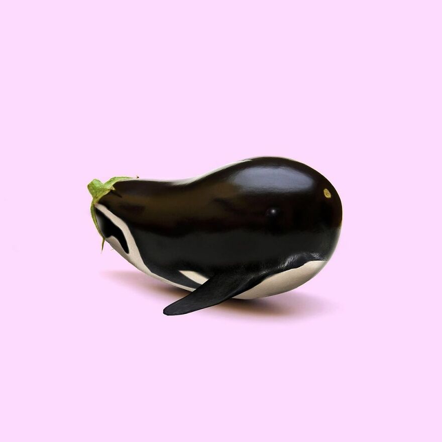 Artist Mixes Animals And Creates The Most Surreal Hybrids You've Ever Seen ( 151 Pics)