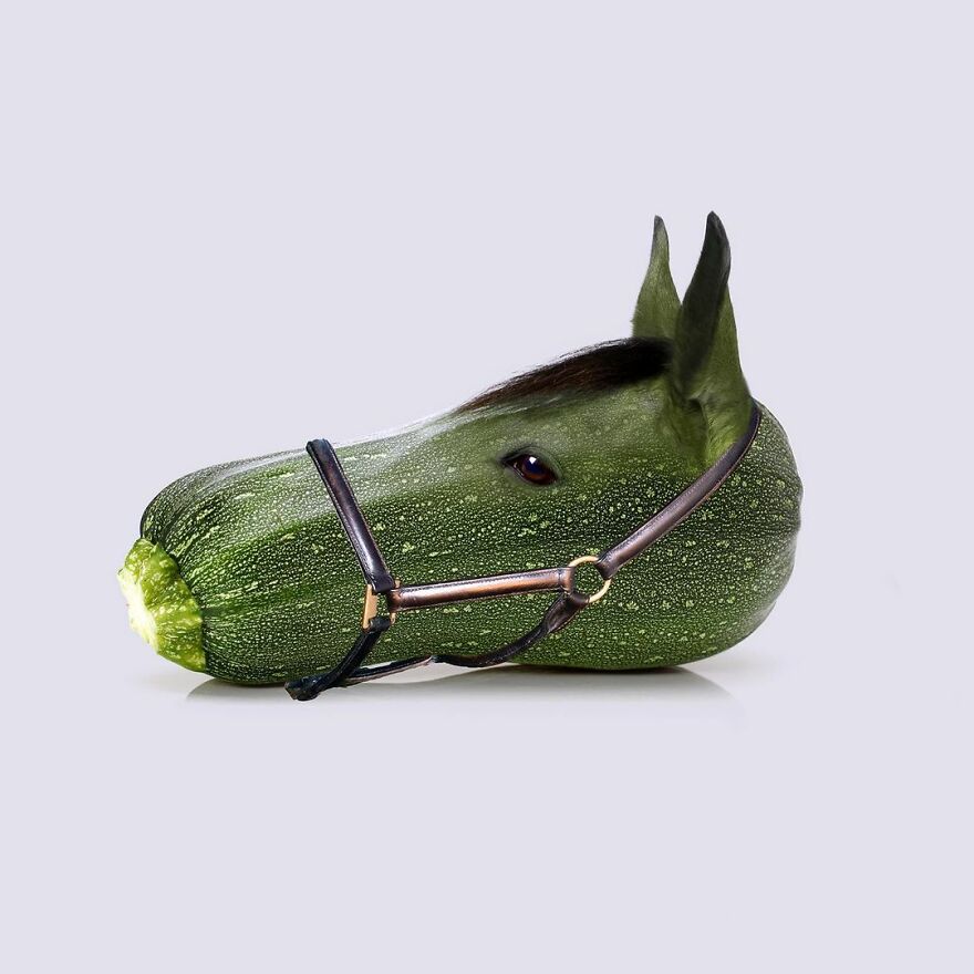 Artist Mixes Animals And Creates The Most Surreal Hybrids You've Ever Seen ( 151 Pics)