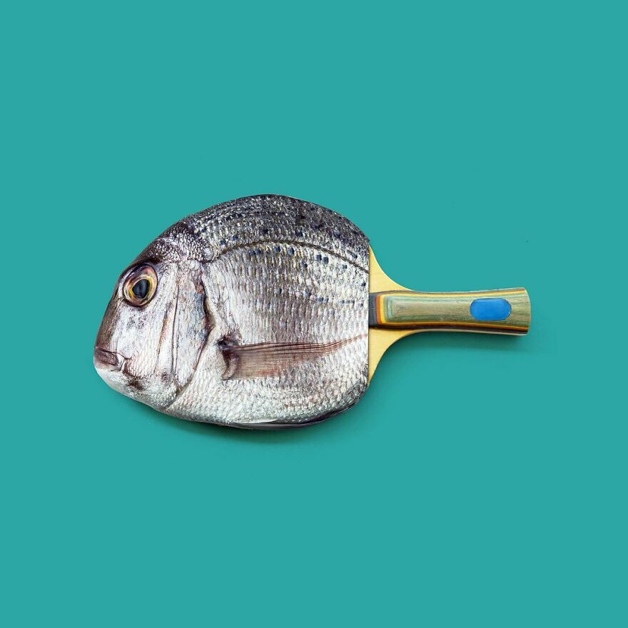 Artist Mixes Animals And Creates The Most Surreal Hybrids You've Ever Seen ( 151 Pics)