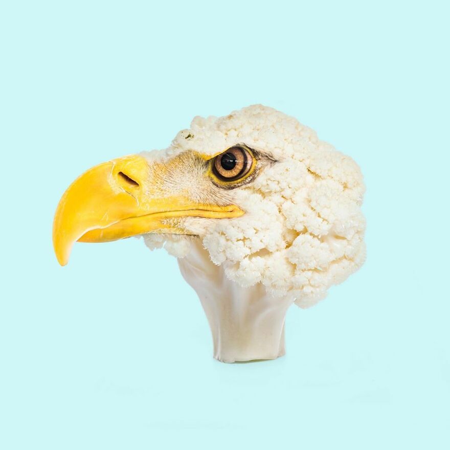 Artist Mixes Animals And Creates The Most Surreal Hybrids You've Ever Seen ( 151 Pics)