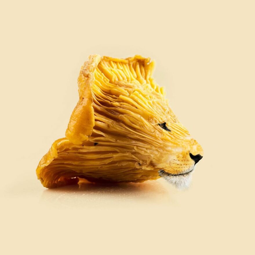 Artist Mixes Animals And Creates The Most Surreal Hybrids You've Ever Seen ( 151 Pics)