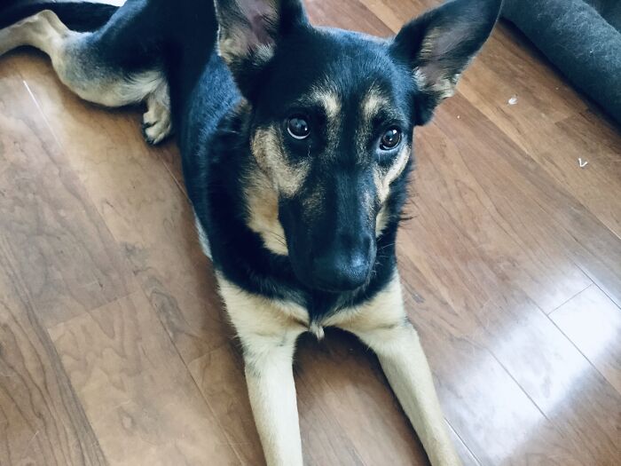 Her Name Is Marley And Is Named After Bob Marley