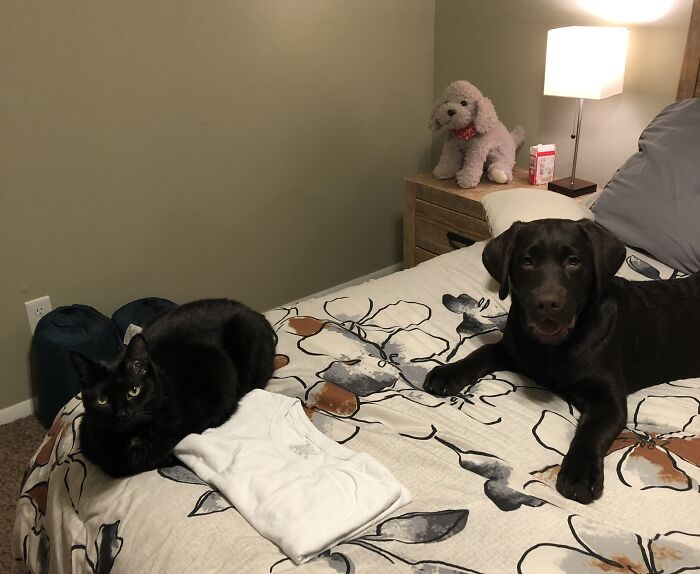 My Bebes ❤️‍🔥