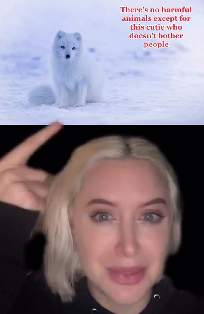 6 Facts About Iceland That You Might Not Have Heard Of Making It The Safest Country In The World, As Shared By This TikTok User 6 Facts About Iceland That You Might Not Have Heard Of Making It The Safest Country In The World, As Shared By This TikTok User