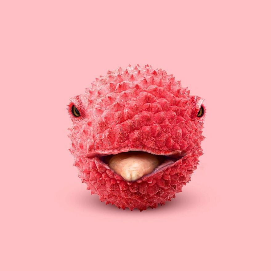 Artist Mixes Animals And Creates The Most Surreal Hybrids You've Ever Seen ( 151 Pics)