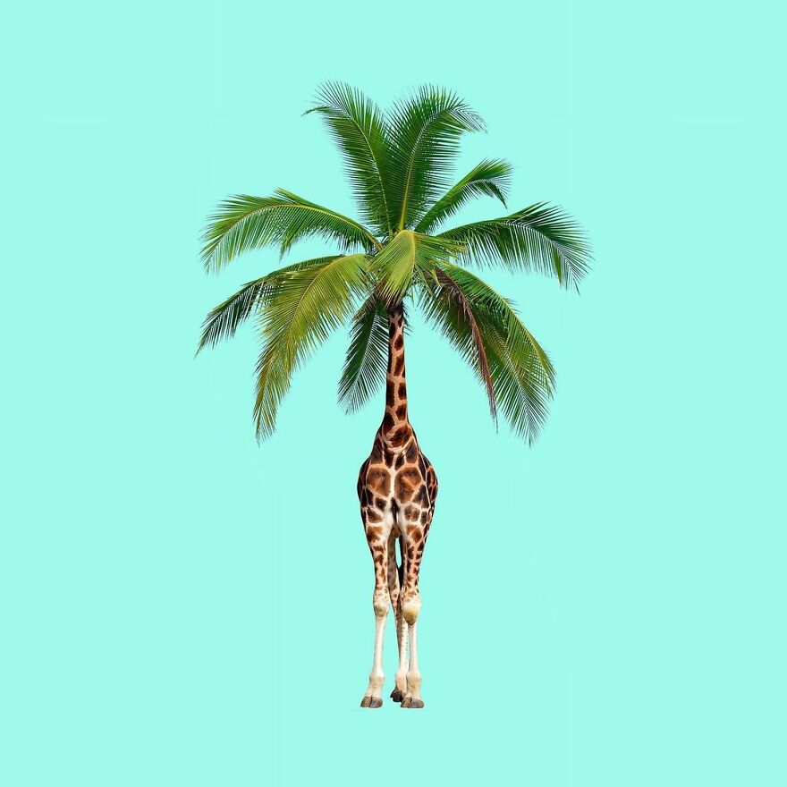 Artist Mixes Animals And Creates The Most Surreal Hybrids You've Ever Seen ( 151 Pics)