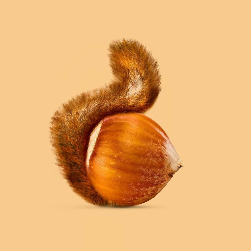 Artist Mixes Animals And Creates The Most Surreal Hybrids You've Ever Seen ( 151 Pics)