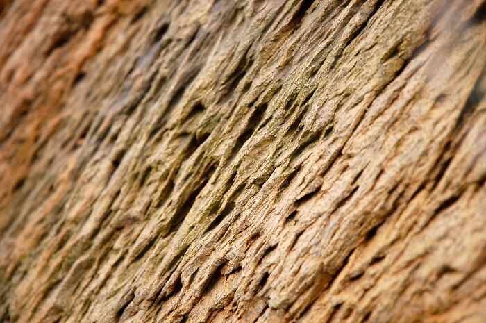 40 Popular Sayings Getting Roasted By People Online For Being False