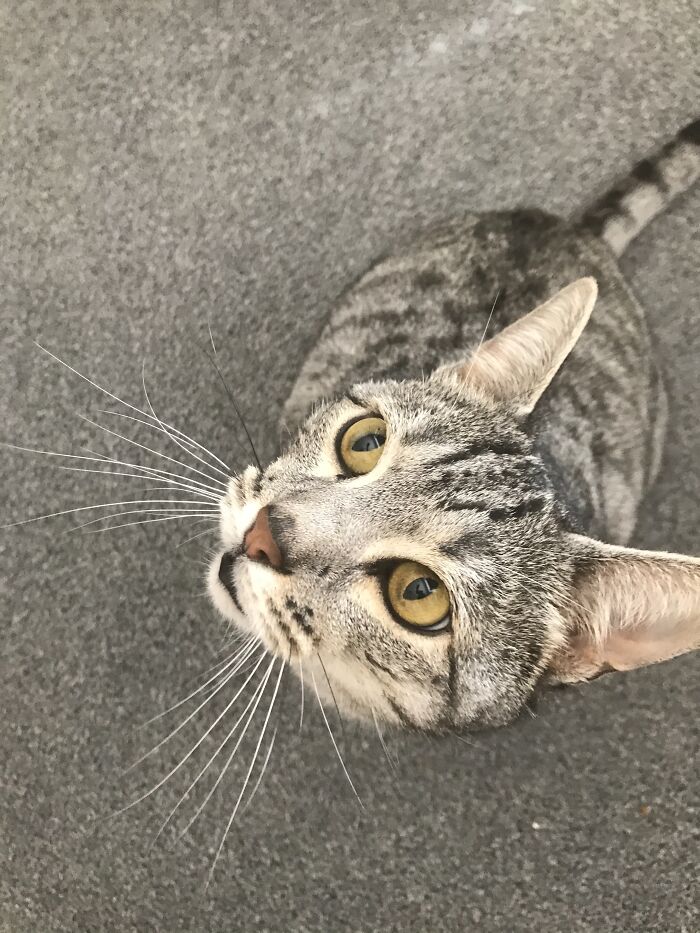 Akio_sunshine Loves Sunbathing And Being Cheeky