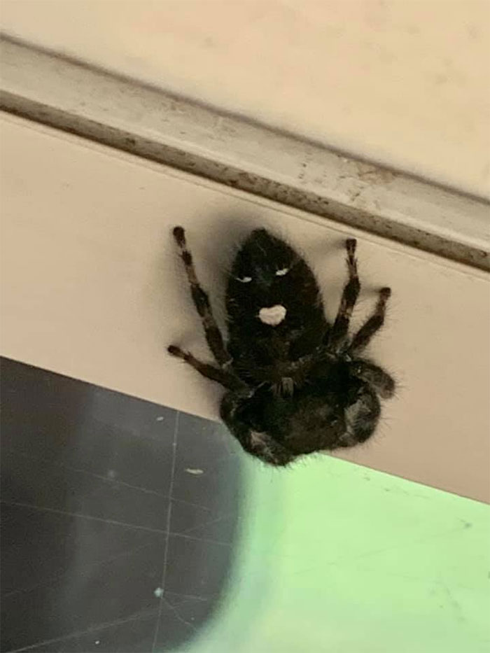 This Celebratey Lady