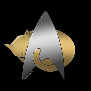 galinatsoneva avatar