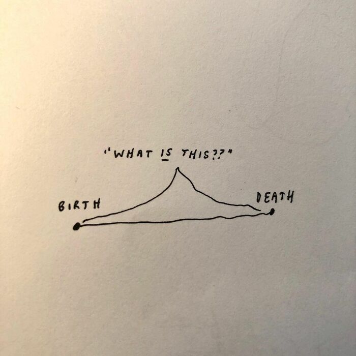 Liana Finck Illustrations