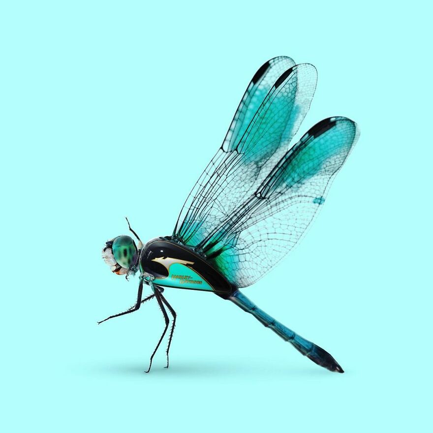 Artist Mixes Animals And Creates The Most Surreal Hybrids You've Ever Seen ( 151 Pics)