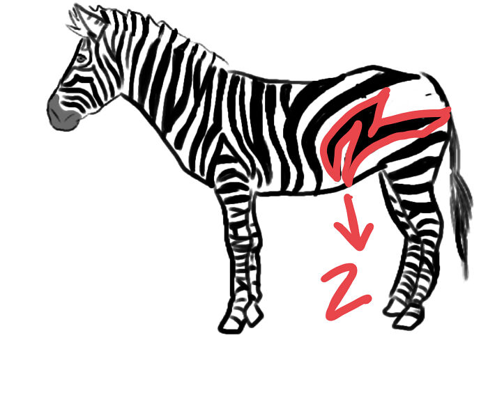 Spot The Hidden Z! ( Name Will Be In Comments)