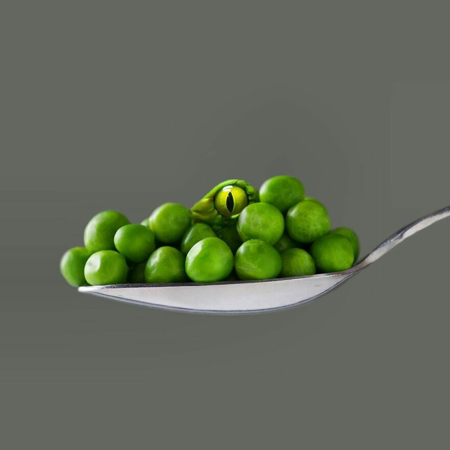 Artist Mixes Animals And Creates The Most Surreal Hybrids You've Ever Seen ( 151 Pics)