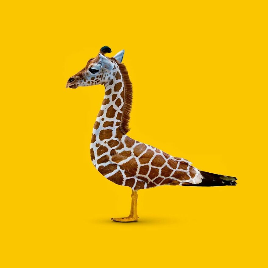 Artist Mixes Animals And Creates The Most Surreal Hybrids You've Ever Seen ( 151 Pics)