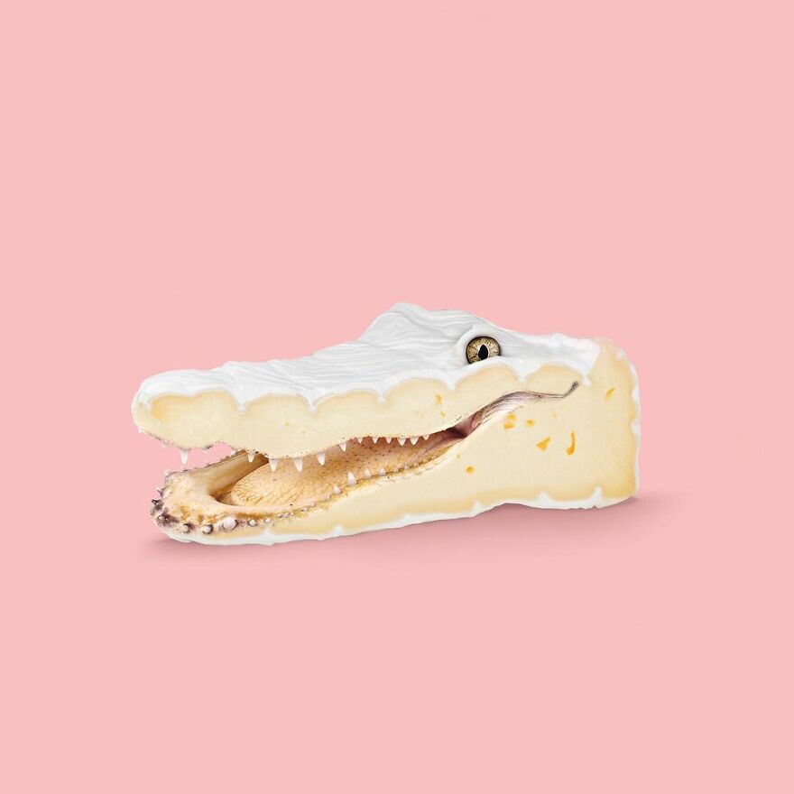 Artist Mixes Animals And Creates The Most Surreal Hybrids You've Ever Seen ( 151 Pics)