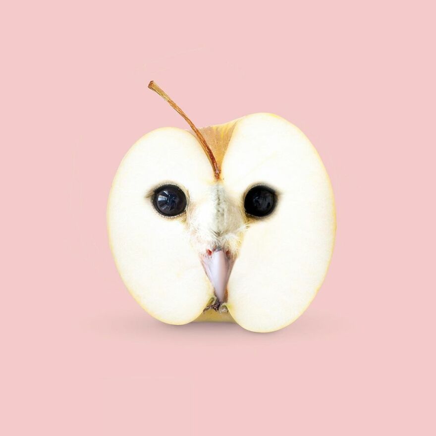 Artist Mixes Animals And Creates The Most Surreal Hybrids You've Ever Seen ( 151 Pics)