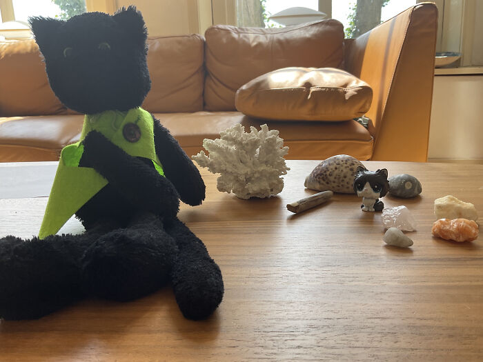 I Collect Alot. I Have Over 220 Plushies, And Counting. I Have Over 100 Schleichs. I Collect Cool Stuff Like Fossils, Old Army Stuff, Rocks, And Other Stuff. I Also Have China Cats And Alot More