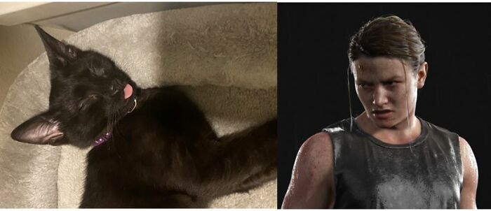 This Is Abby, The Resemblance Is Amazing Isn't It?