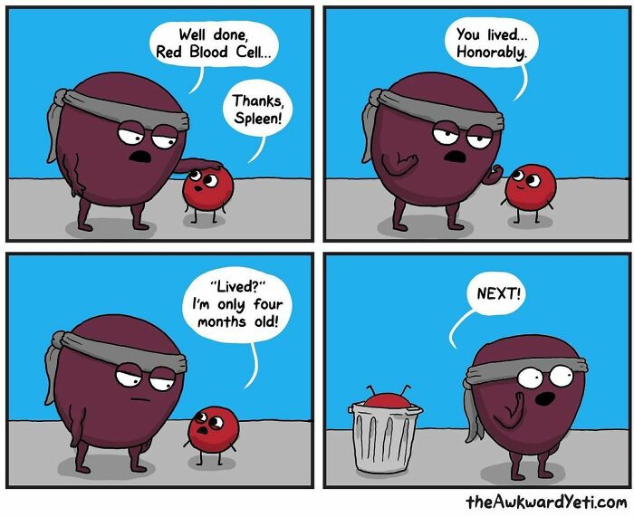 Artist Makes Comics That Portray The Eternal Dilemma Between Reason And Heart And 1 Million And 800 Thousand Followers Approve