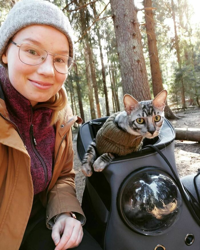 This Very Talented Cat Can Perform Over 50 Amazing Tricks