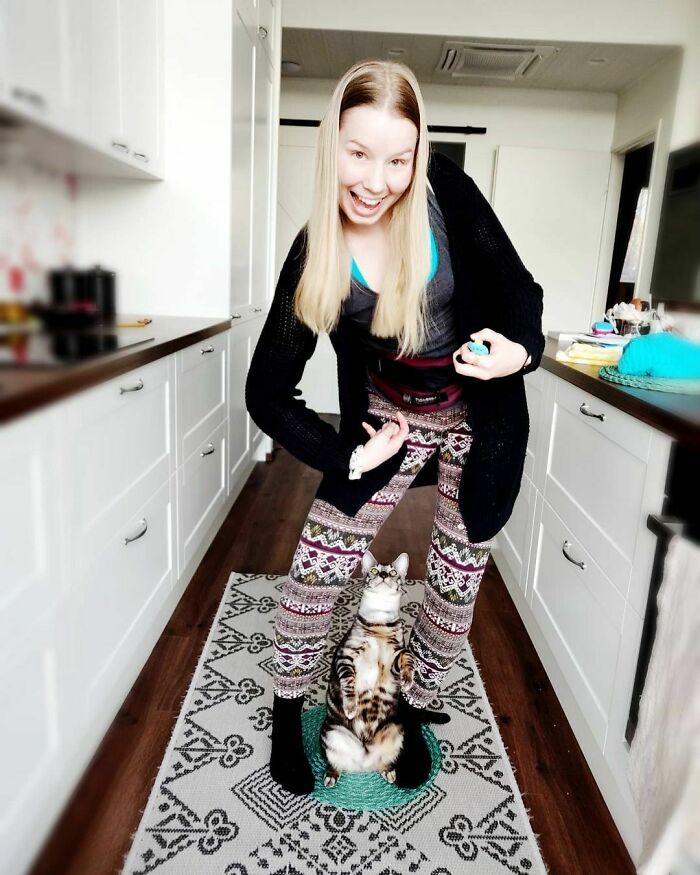 This Very Talented Cat Can Perform Over 50 Amazing Tricks