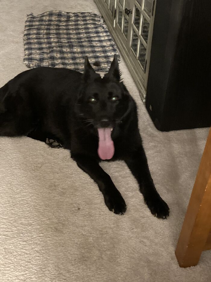 She’s Really Very Sweet