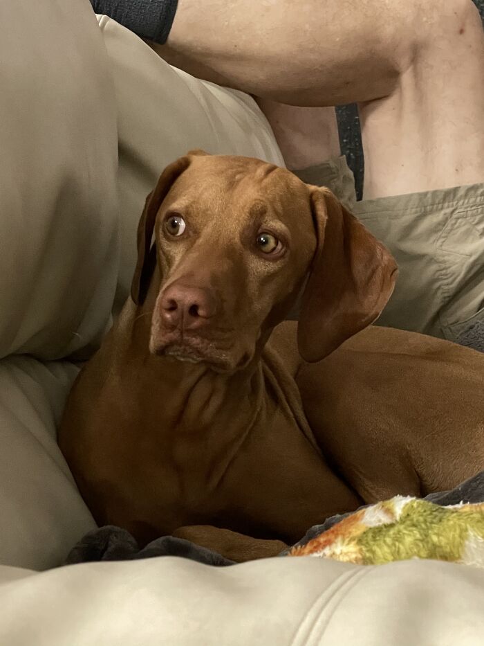 She’s The Master Of A Side-Eye