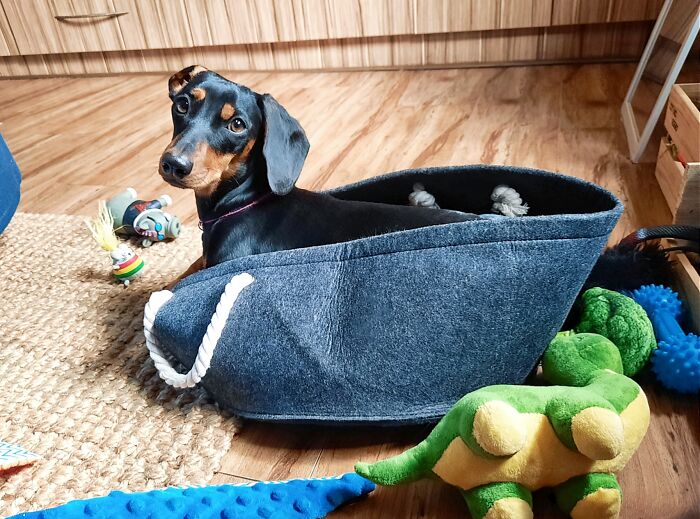 She Was Too Long For Her New Bed