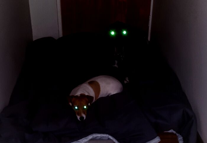 It's Behind Me, Isn't It?