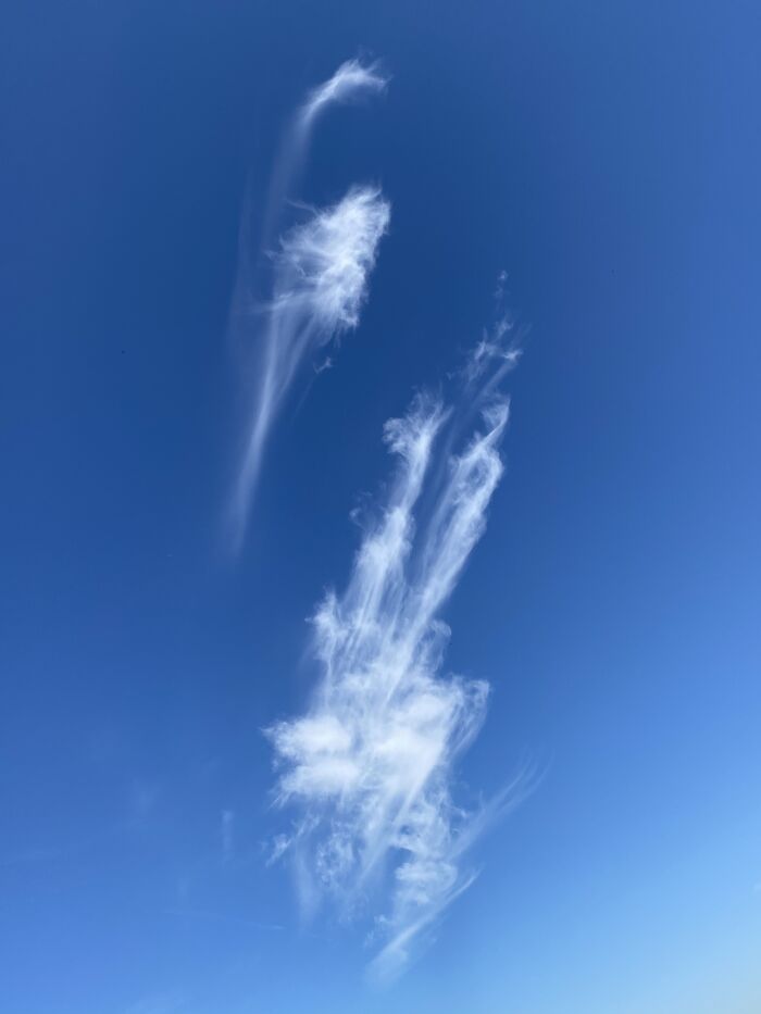 Early Summer Morning