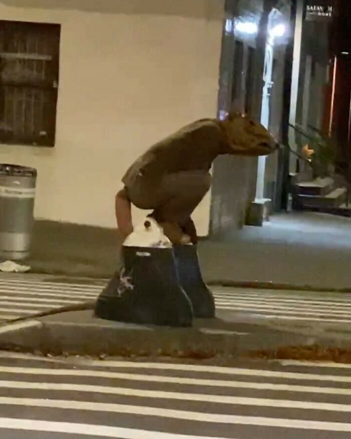 Life-Size NYC Rat 
